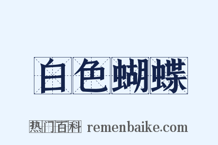 白色蝴蝶是什么意思的图片